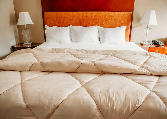 Country Garden & Suites-benton Motel Benton